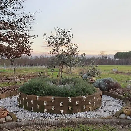 Donnola: Casa Rosmarino Casa vacanze *