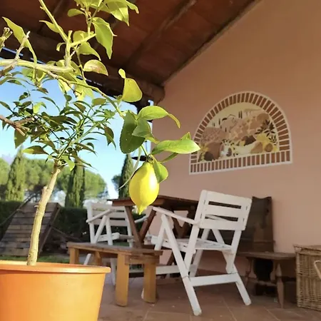 Donnola: Casa Rosmarino *