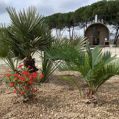 Donnola: Casa Rosmarino
